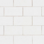 Polar Bear White Cladding