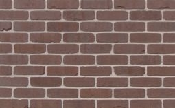 Arcadian Thin Standard